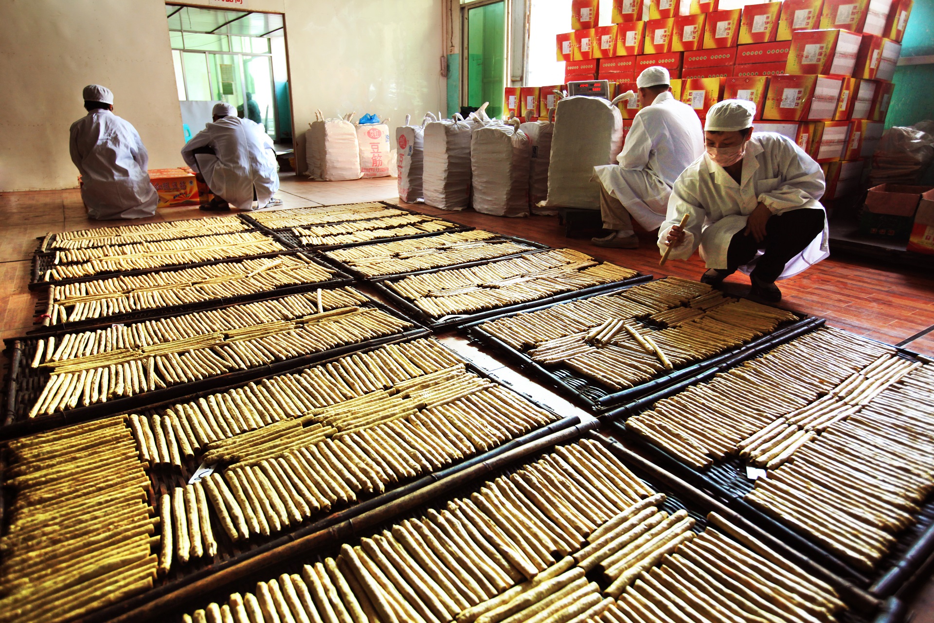 大图：礼让豆筋.JPG