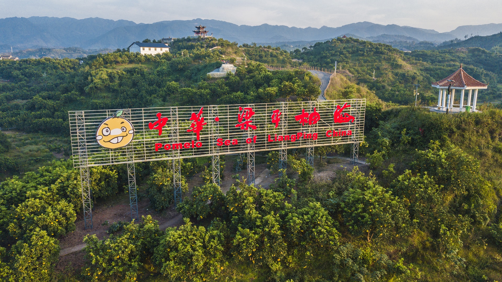 中华梁平柚海.jpg