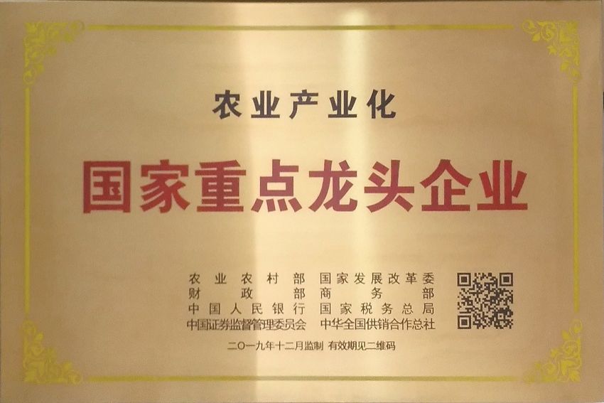 1655474129119447.jpg
