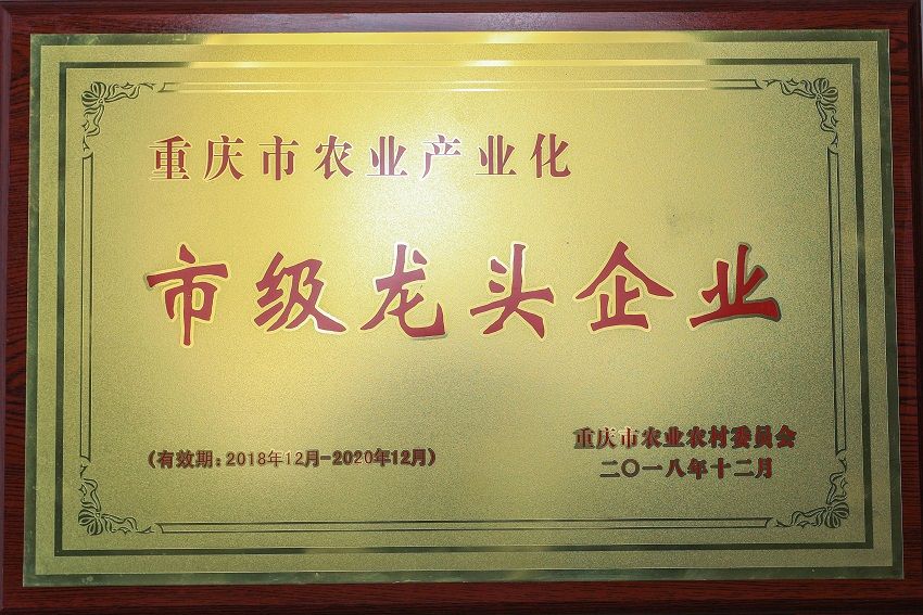 1655474129642460.jpg